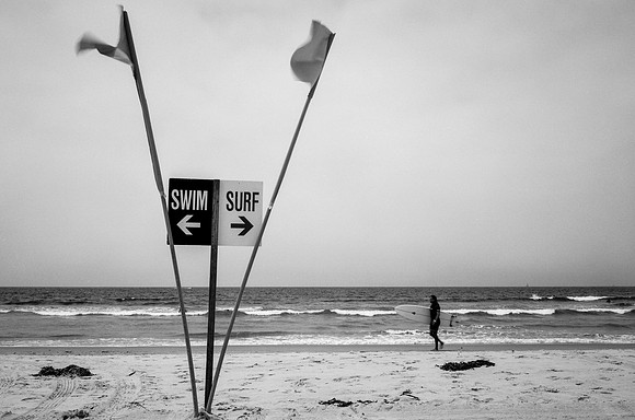 Swim/Surf Venice Beach