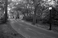 Crepuscule in Central Park (After Monk)